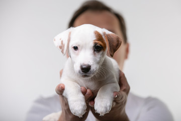 Man holds a puppy in his hands