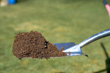 Fresh compost with a shovel and a green background