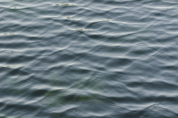 RIVER, LAKE, SEA - Wrinkles on flowing water