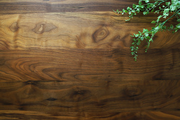 木目 ウォールナット の背景素材 Wall Mural Wallpaper Murals Yu Arakawa