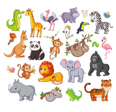 Big vector set with animals in cartoon style. Vector collection with mammals