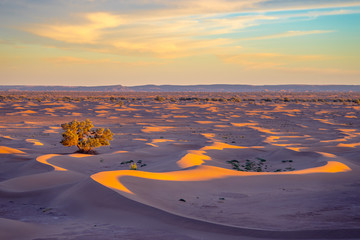 Sahara desert views