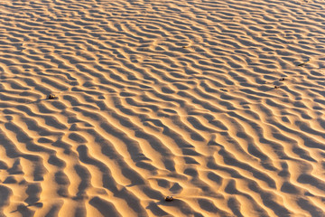 Sand texture on the beach, Essaouira, Morocco.