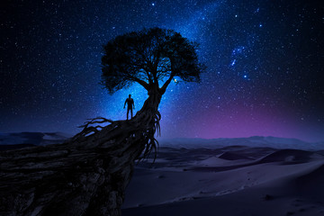 Man under a tree in front of the universe
