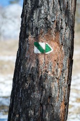 Naklejka premium sign on a tree trunk