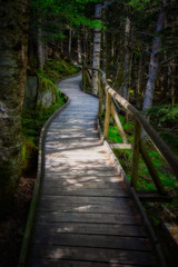 Nice wooden path of Aigüestortes i Estany de Sant Maurici National Park in a Spanish Pyrenees mountain