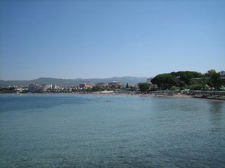 Fototapeta premium The coast of a calm sea with buildings and greenery on a cloudless day.