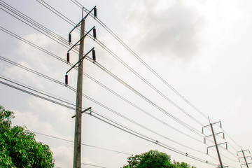 Vintage of electricity pole with green tree nature, Transmission line of electricity to rural