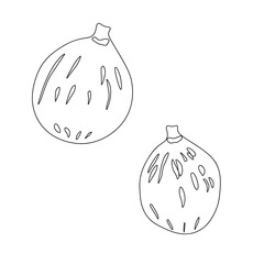 Doodle two figs, great design for any purposes. Organic  berry  food. Healthy food background. Healthy vegan food concept. Vector & illustration. Berries background. Fresh berries .