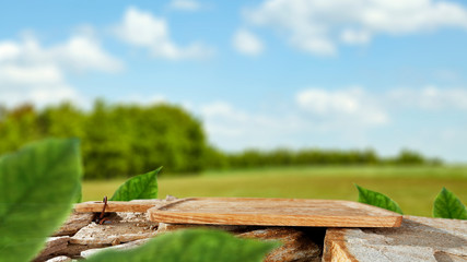 Desk of free space and blurred background of spring 