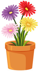 Pot of flowers on white background