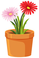 Pot of flowers on white background