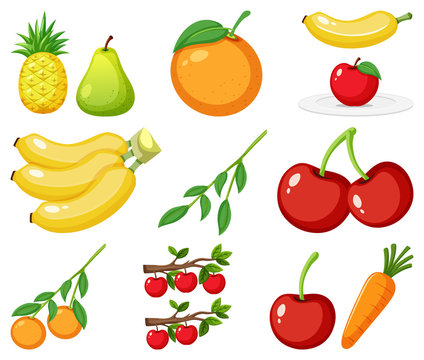 Large set of different types of fruits on white background