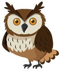 Cute owl with brown feather on white background