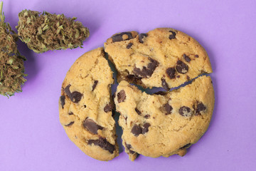 Chocolate and marijuana cookies. CBD Canabidol Foods