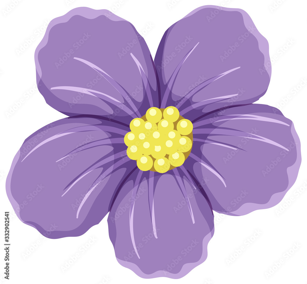 Poster purple flower on white background