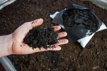 black soil in man hand closeup outdoor