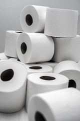Rolls of daily use toilet paper