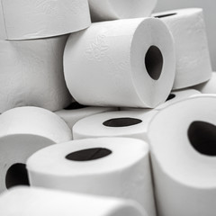 Rolls of daily use toilet paper