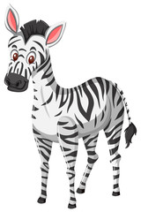 Fototapeta na wymiar Cute zebra on white background