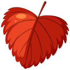 Red leaf on white background