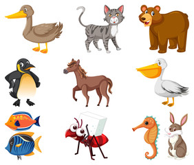 Large set of different types of animals on white background