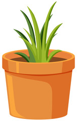 Green leaves on the branch on white background