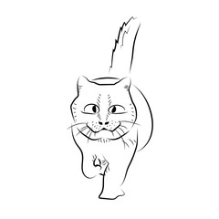 Cartoon walking cat. Sketch style.