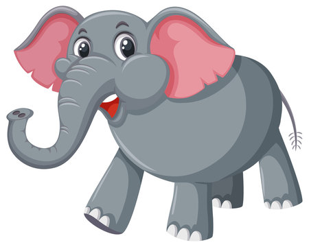 Gray elephant on white background