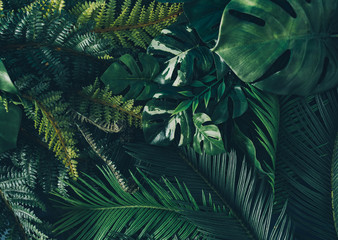 Creative nature background. Green tropical palm leaves. Minimal summer abstract jungle or forest composition. Contemporary style.