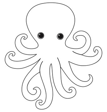 Outline of octopus on white background