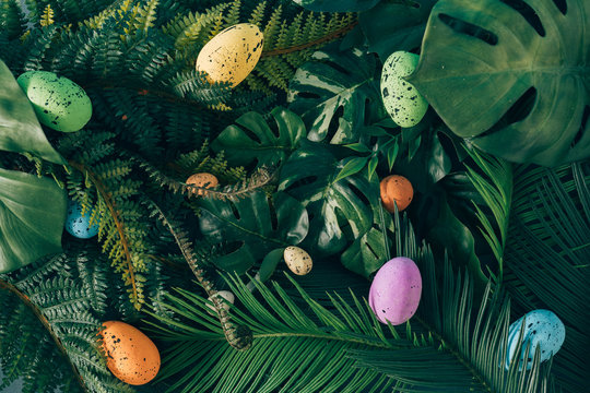 Creative Easter nature background. Green tropical palm leaves with Easter eggs. Minimal spring abstract jungle or forest composition. Contemporary style.
