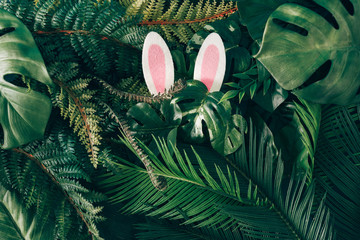 Creative Easter nature background. Green tropical palm leaves with pink Easter bunny ears. Minimal...