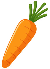One carrot on white background