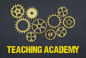 Teaching Academy 