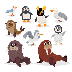 Wild South Pole animals flat style set