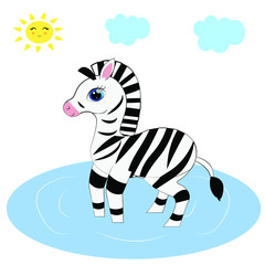 cute zebra cartoon illustration  nursery