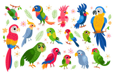 Set of tropical parrots characters