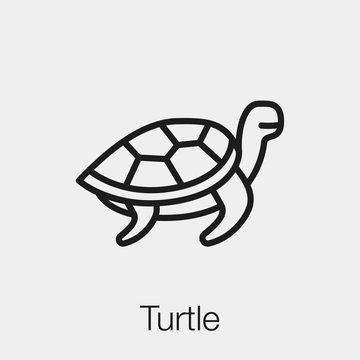 turtle icon vector sign symbol
