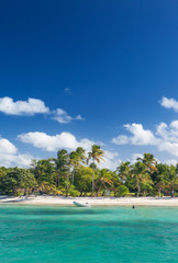 Petit Rameau Caribbean tropical Island Beach Coast