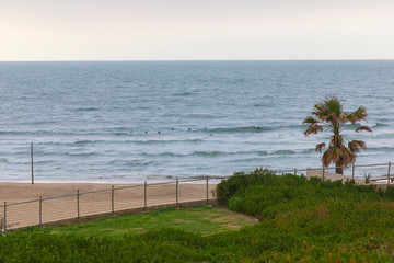 Fototapeta premium Surfers expect a wave in the Mediterranean