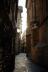 Fototapeta na wymiar Buildings in the Gothic Quarter in Barcelona, Spain