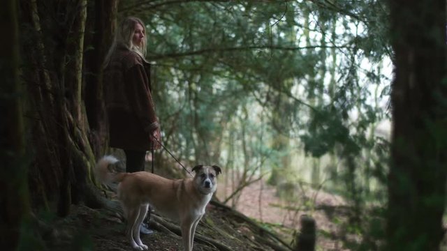 A blonde girl stands in the forest with a cute dog and looks around
