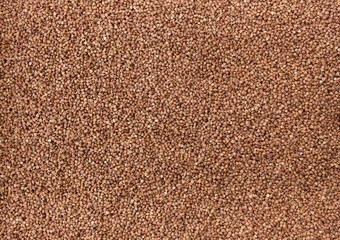  buckwheat texture