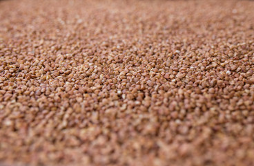  buckwheat texture