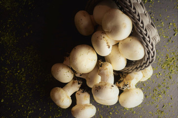 
Group of mushrooms on slate and small basket