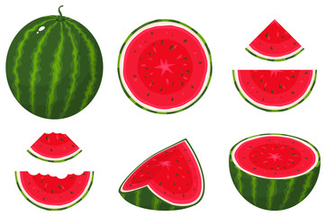 Set of fresh whole, half, cut slice watermelon fruit isolated on white background. Summer fruits for healthy lifestyle. Organic fruit. Cartoon style. Vector illustration for any design.