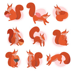 Cute Squirrel Animal Sitting and Jumping Vector Illustrations Set