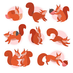 Cute Squirrel Animal Sitting and Jumping Vector Illustrations Set