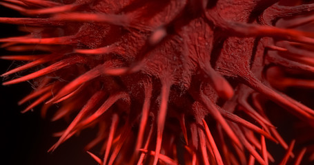 COVID-19, Pandemic virus 2020 , chinese virus 2019-nCoV. Macro photo